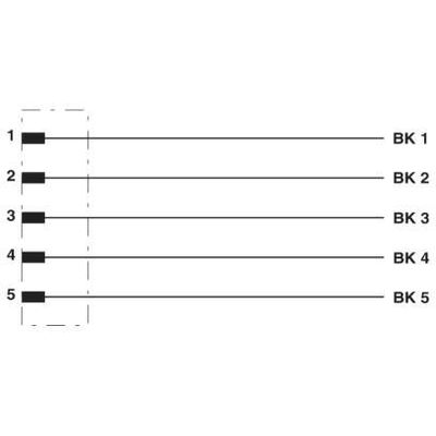 SAC-5P- 5,0-BF145/M12FS SH NC - Phoenix Contact - 1405342 - изображение 3