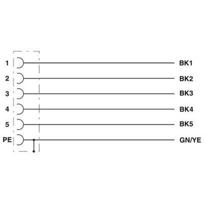 SAC-6P- 1,5-PVC/M12FSM PE - Phoenix Contact - 1414905 - изображение 4