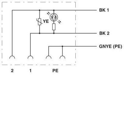 SAC-3P-3,0-PVC/A-1L-V 230V - Phoenix Contact - 1415913 - изображение 4