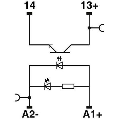 RIF-0-OPT-24DC/24DC/2 - Phoenix Contact - 2905293 - изображение 3