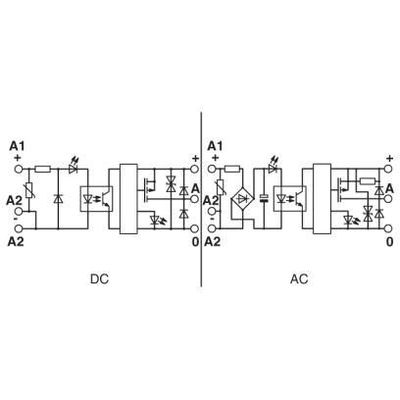 EMG 17-OV-12DC/24DC/2 - Phoenix Contact - 2946793 - изображение 3