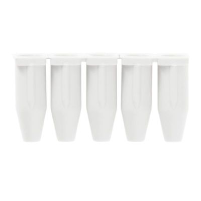 ZRH 1.5S/1 - Weidmueller - 1781950000