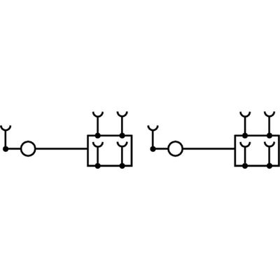 AAP22 10 LO-LO - Weidmueller - 2428990000 - изображение 2