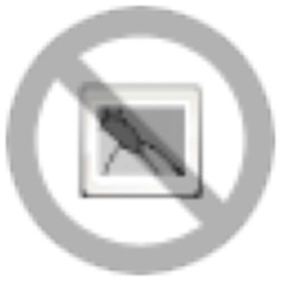 WDTR 2.5/WE - Weidmueller - 2456020000 - изображение 2