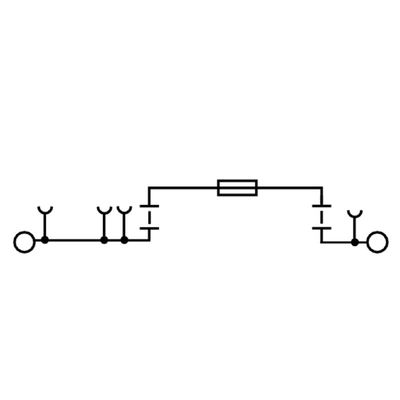 AFS 2.5 CF 2C BK - Weidmueller - 2466530000 - изображение 2