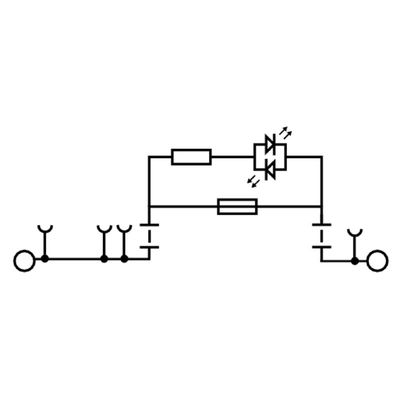 AFS 2.5 CF 2C 12V BK - Weidmueller - 2466610000 - изображение 2