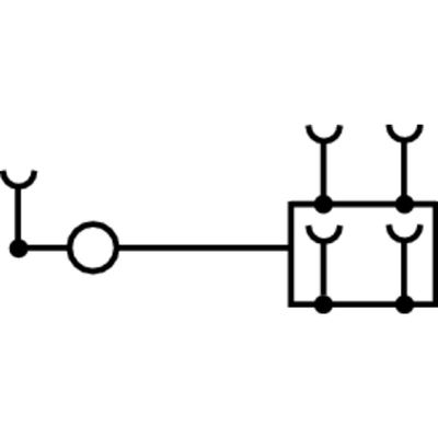 AAP12 10 LO OR - Weidmueller - 2503900000 - изображение 2