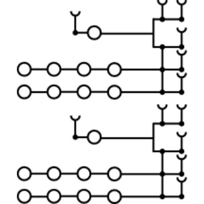 SET AAP12 10/2.5/10C - Weidmueller - 2506350000 - изображение 2