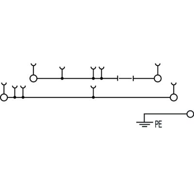 W2T 4 DT-FT-PE STB - Weidmueller - 2893740000 - изображение 2